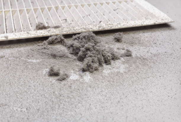 Best Local Air Duct Cleaning Services  in Oak Ridge, TN