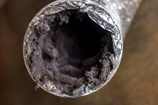 Best Ductwork Cleaning Services  in Oak Ridge, TN